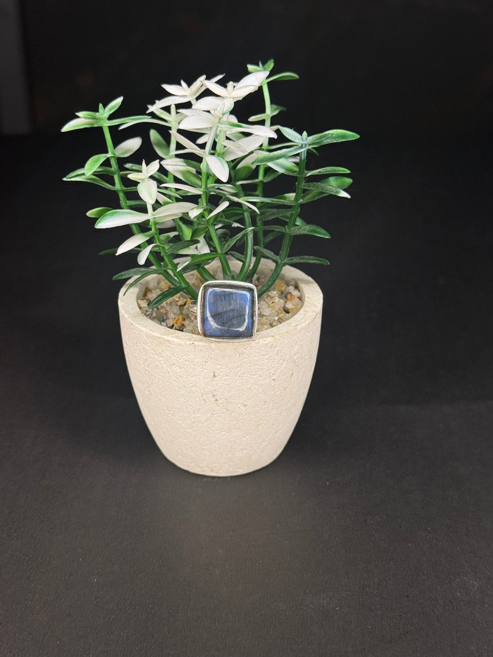 ZAREYA Midnight Noir Ring – 925 Silver | Minimal Luxe Jewelry for Women