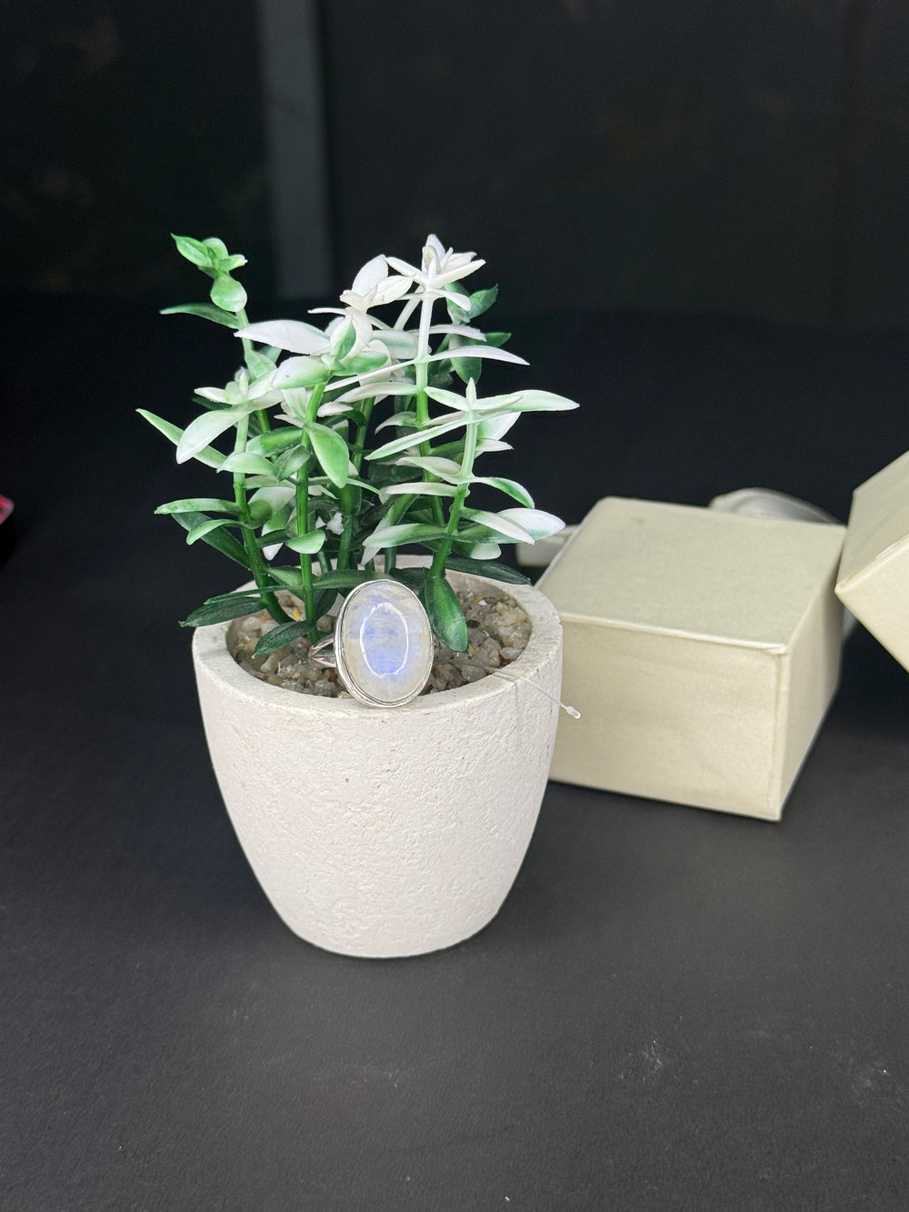 ZAREYA Oval Moonstone Ring – 925 Silver | Timeless Minimal Jewelry