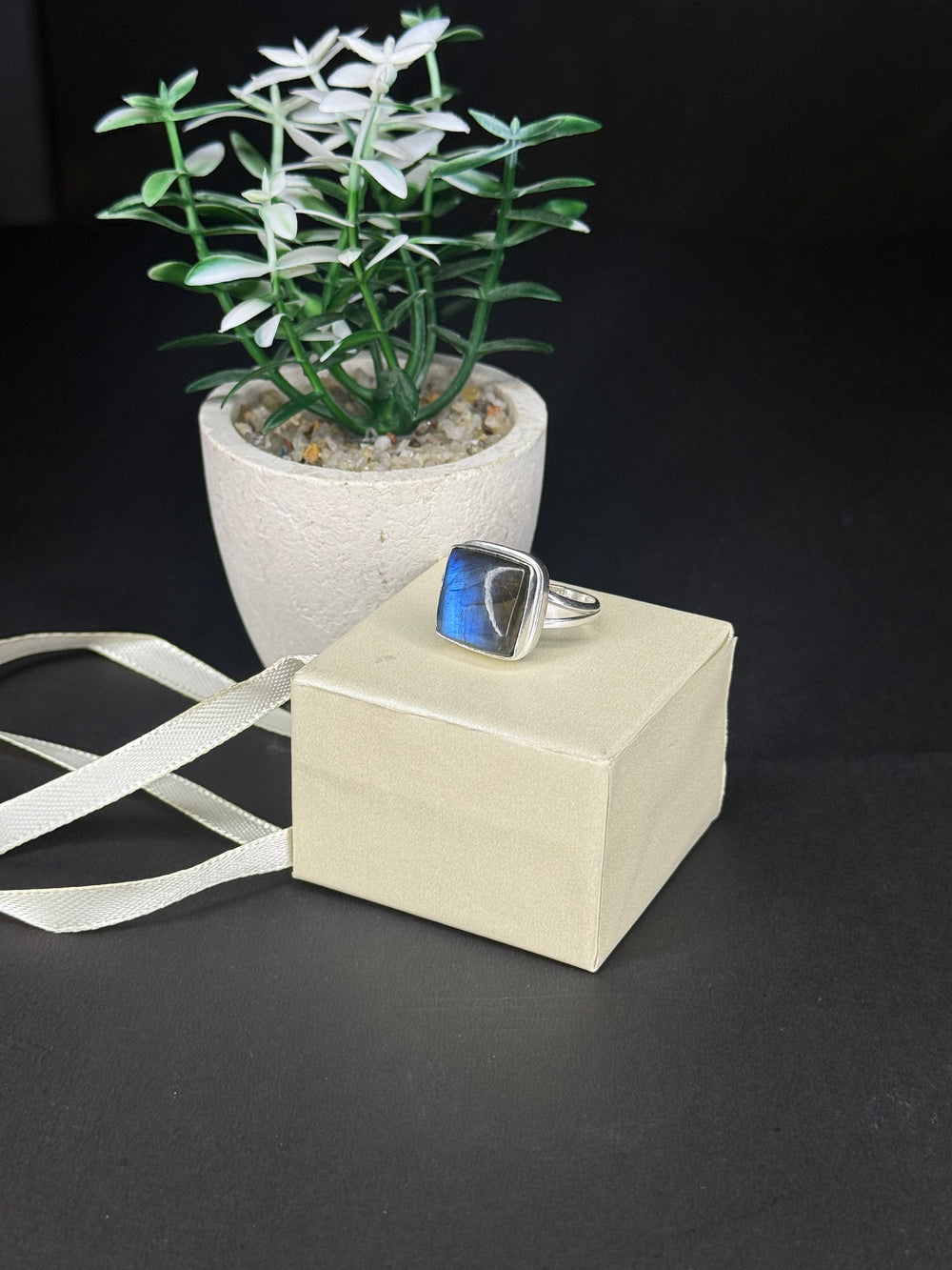 ZAREYA Midnight Noir Ring – 925 Silver | Minimal Luxe Jewelry for Women